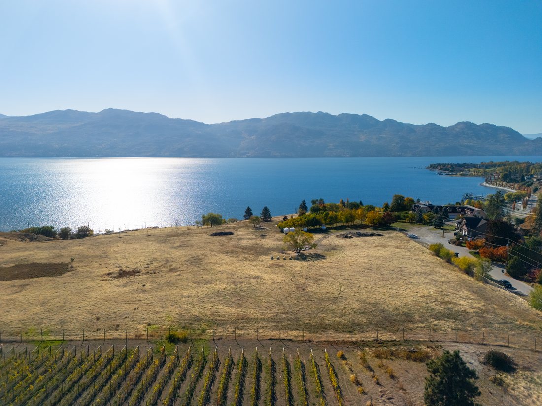 The open acreage above rows of orchard trees, Okanagan Lake beyond